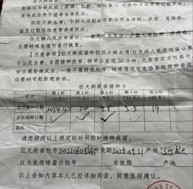 悲剧！河南3岁男童被恶狗咬伤，打了疫苗仍离世