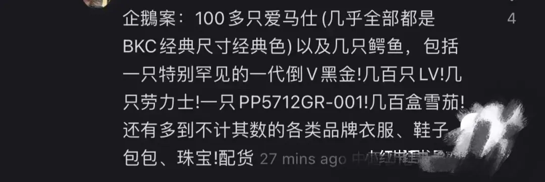 华人网红夫妇佯装爱马仕代购，暗藏GPS定位抢劫