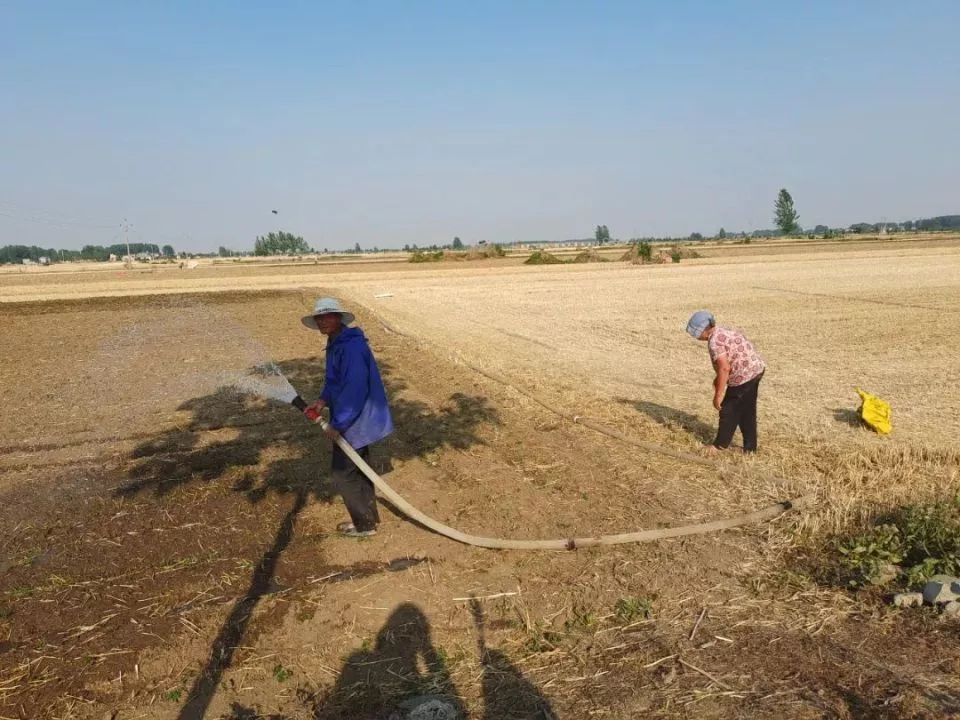 河南人快扛不住了 1个月只下1次雨  最高41℃